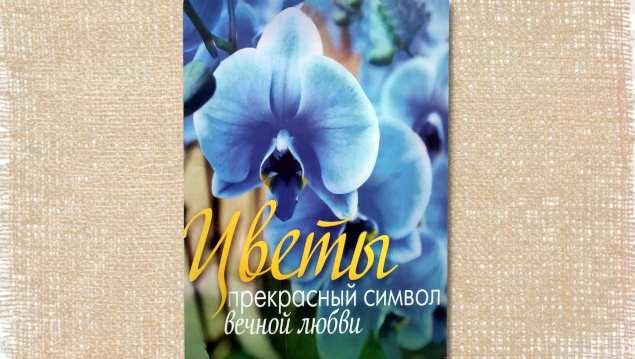 Студенты СГУ стали призёрами и победителями номинаций «Российской студенческой весны - 2023»