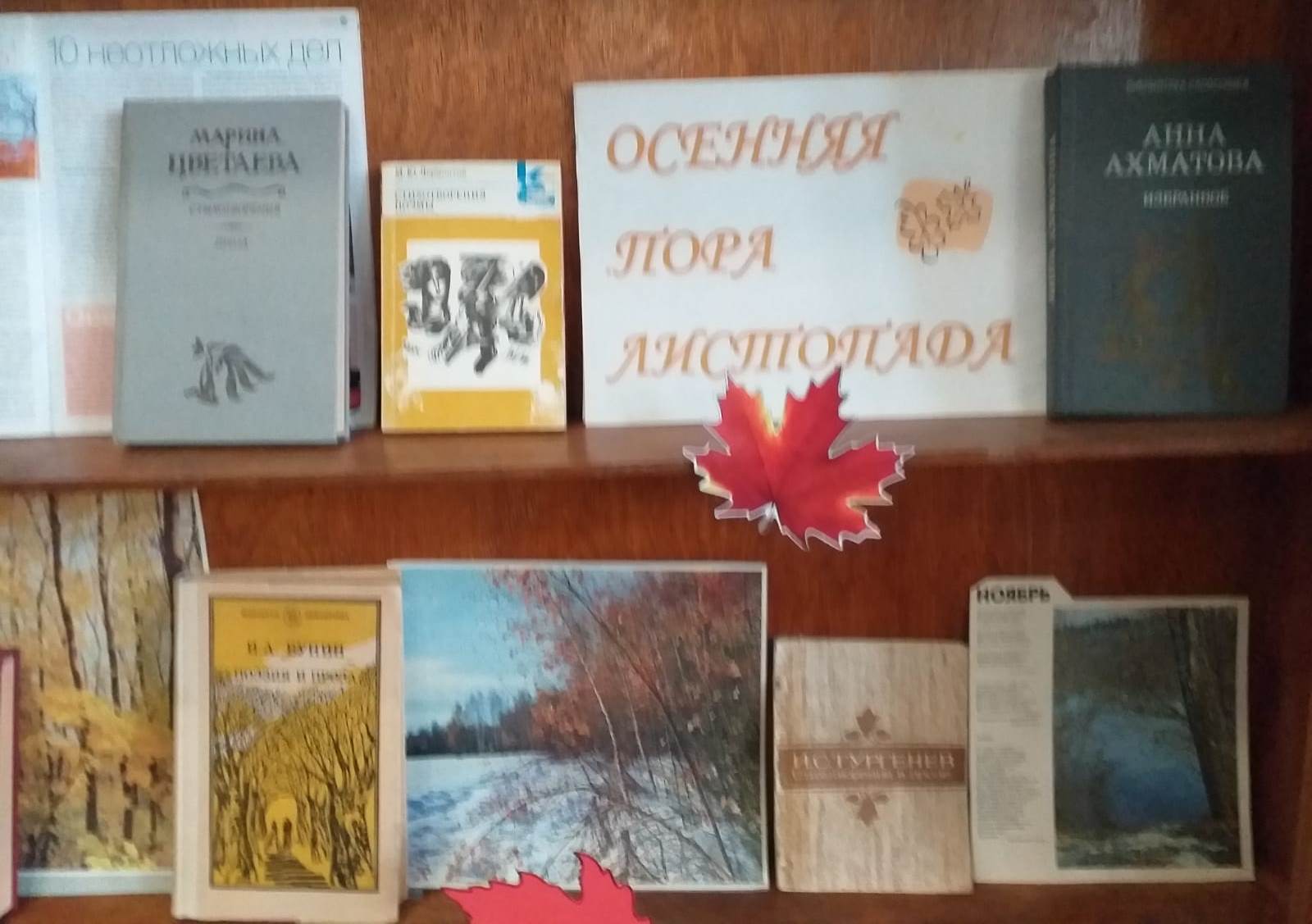 Студенты СГУ стали призёрами и победителями номинаций «Российской студенческой весны - 2023»