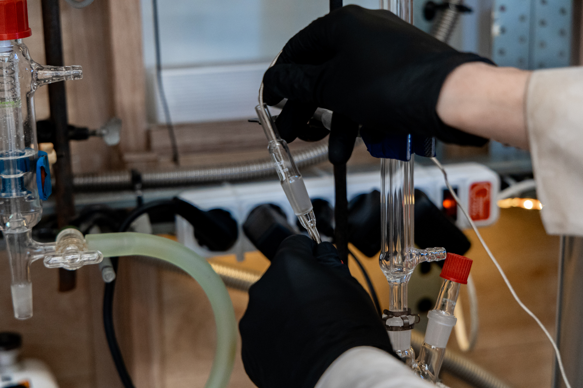 Студенты СГУ стали призёрами и победителями номинаций «Российской студенческой весны - 2023»