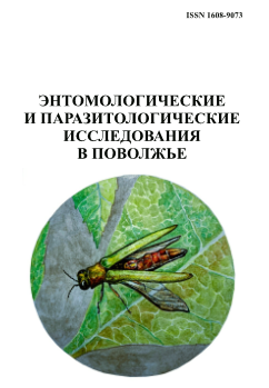 Студенты СГУ стали призёрами и победителями номинаций «Российской студенческой весны - 2023»