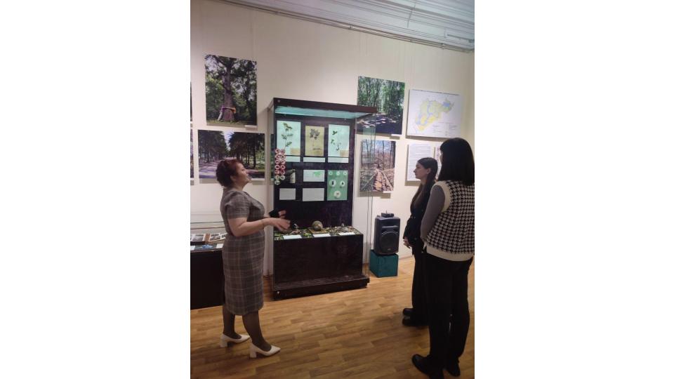 Студенты СГУ стали призёрами и победителями номинаций «Российской студенческой весны - 2023»