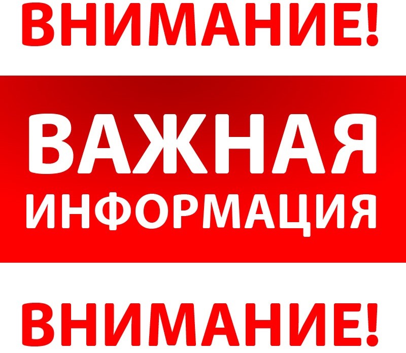 Студенты СГУ стали призёрами и победителями номинаций «Российской студенческой весны - 2023»