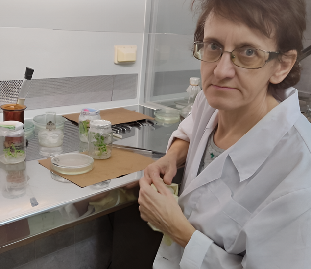 Тимофеева Светлана Николаевна