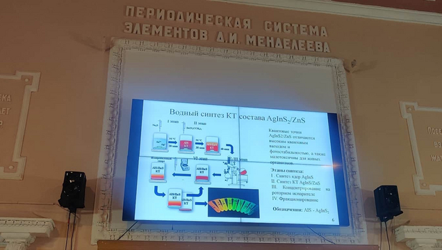 Институт химии. Защиты бакалавров 2024.